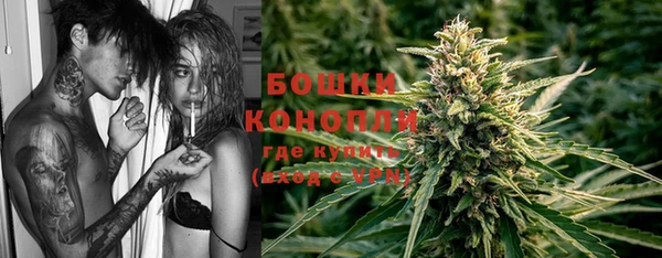 мдпв Липки