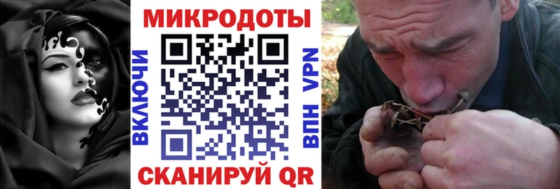 Псилоцибиновые грибы мицелий OMG Тюкалинск